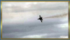 BlueAngel31018 (168).jpg